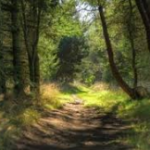 保護中: アトラクション４　土　グラウンドノーム